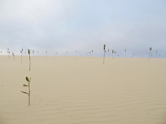 Nhi Ha sand dunes