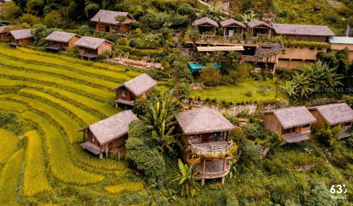 Eco Palms House - Homestay theo phong cách xanh độc đáo tại Sa Pa