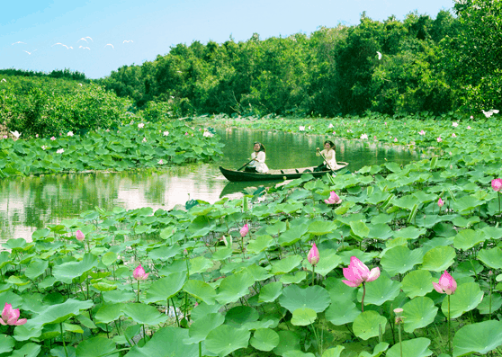 Gao Giong eco-tourism area