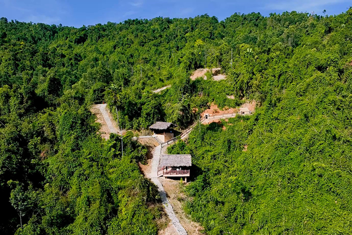 Tunnels of Tri Thien Hue Party Committee