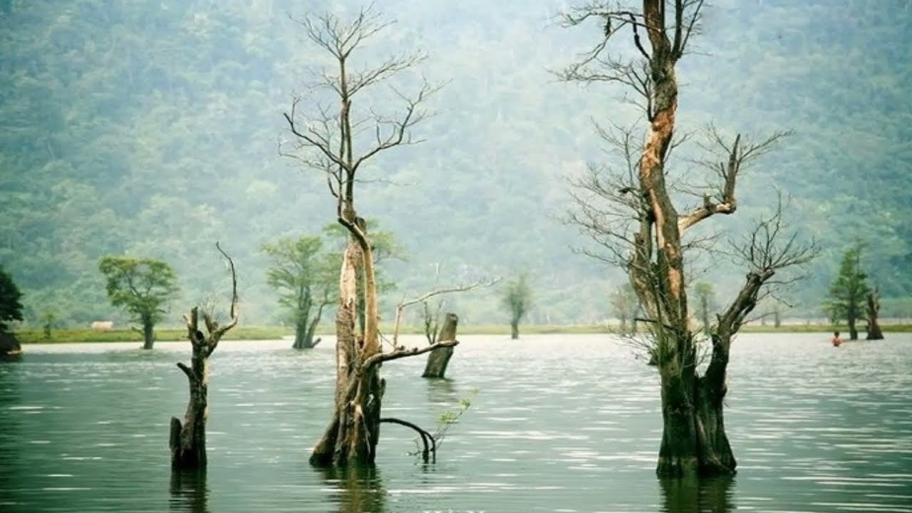 近年来，Noong Lake已成为越来越受欢迎的旅游目的地