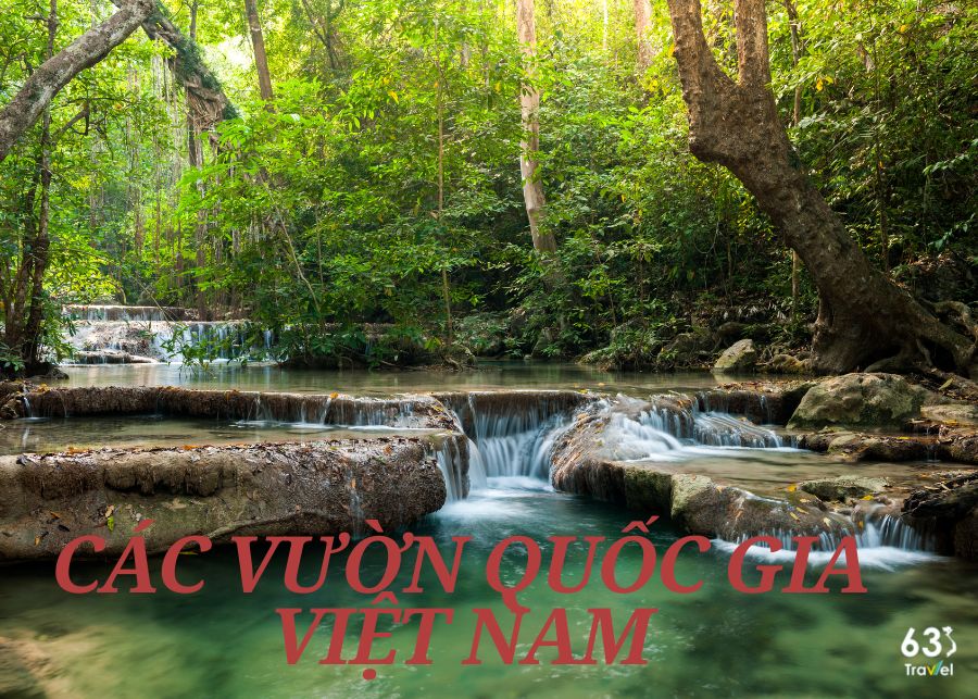 Top 16 most beautiful national parks in Vietnam for photography enthusiasts