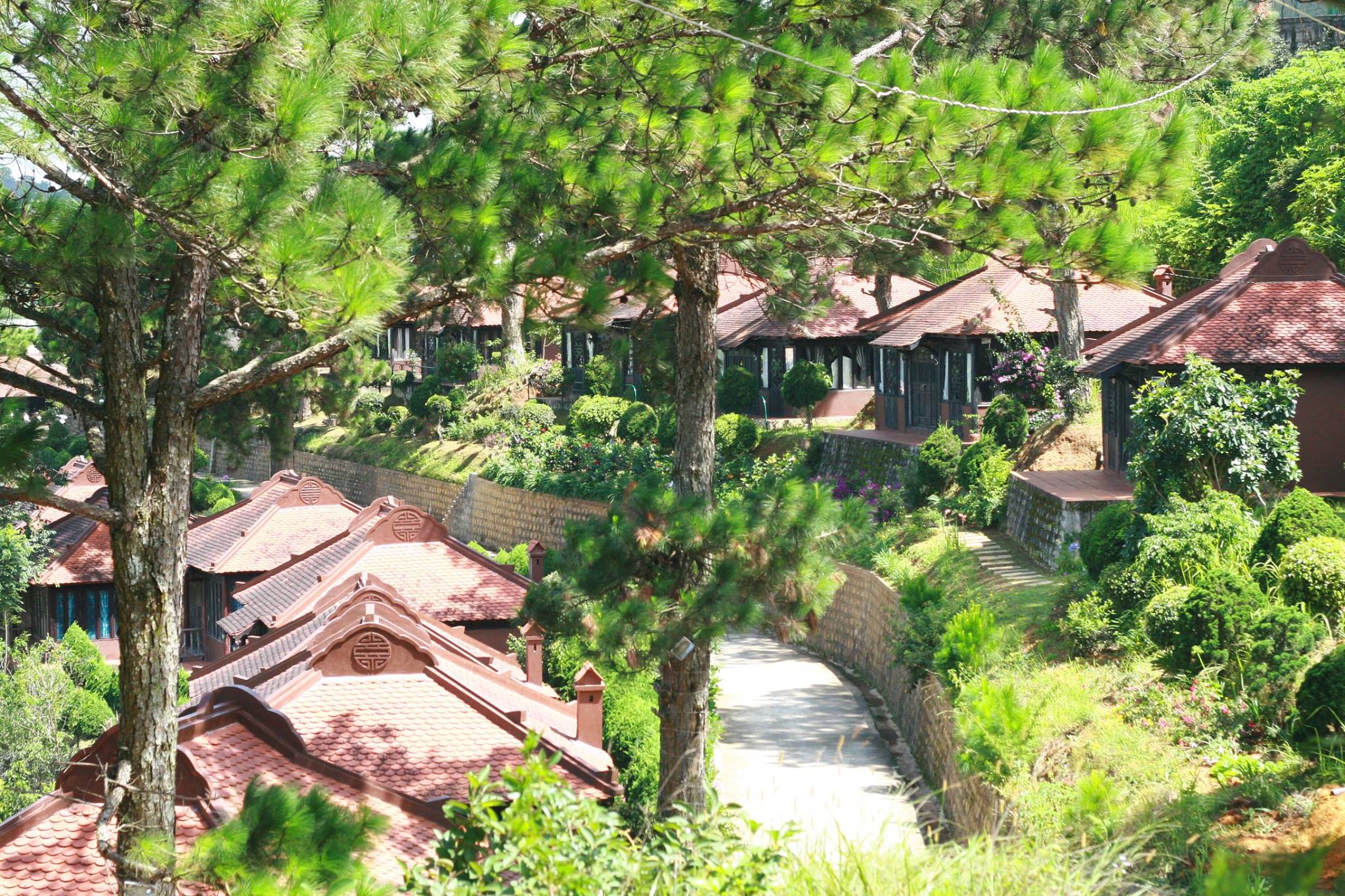 Osaka Dalat Bungalow