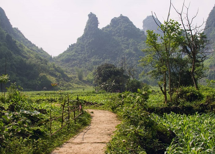 福森锻造村。