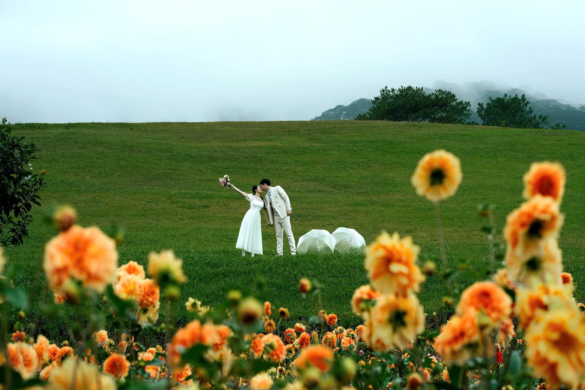 The Florest - Flowers In The Forest