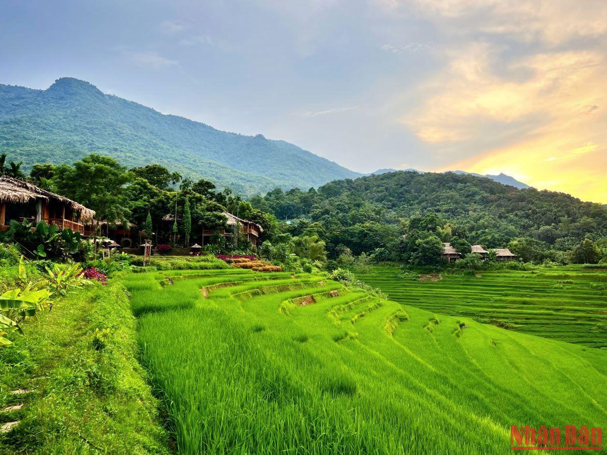 Pu Luong Nature Reserve