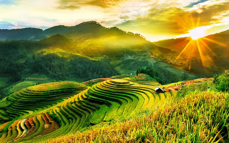 Mu Cang Chai