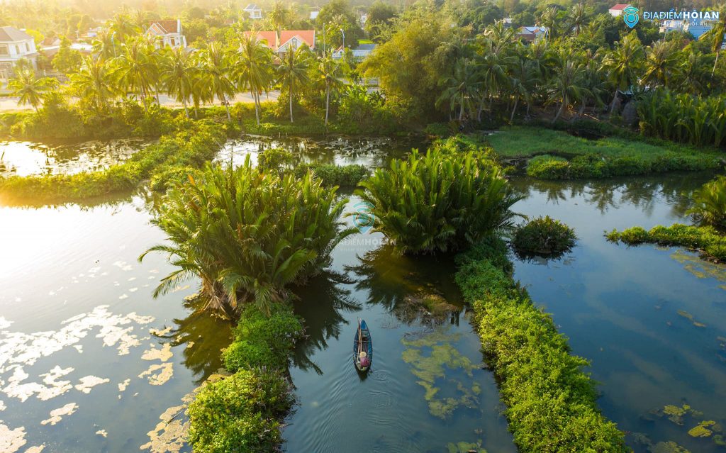 Seven-acre coconut forest