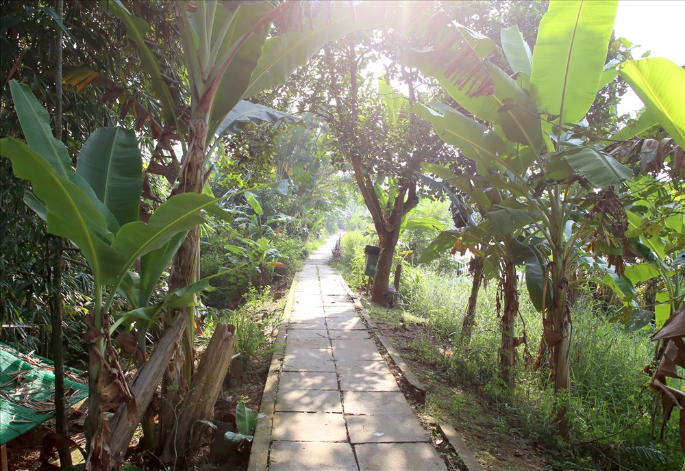 WEST: MY THO - BEN TRE - CAN THO - CHAU DOC