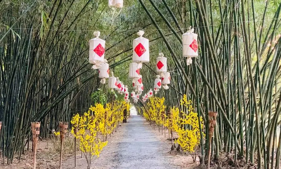 Tu Sang Bamboo Garden