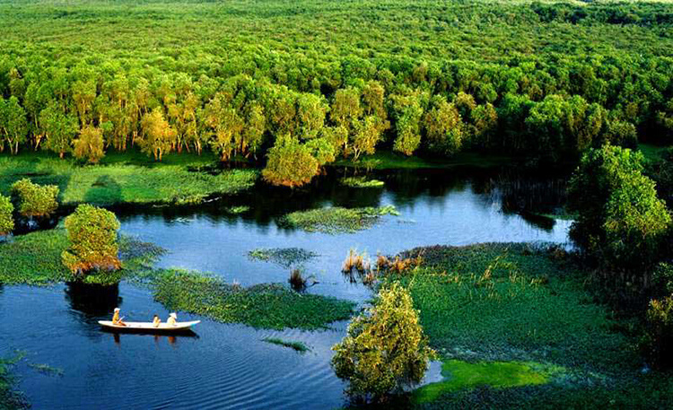 The beauty from above of U Minh Thuong forest