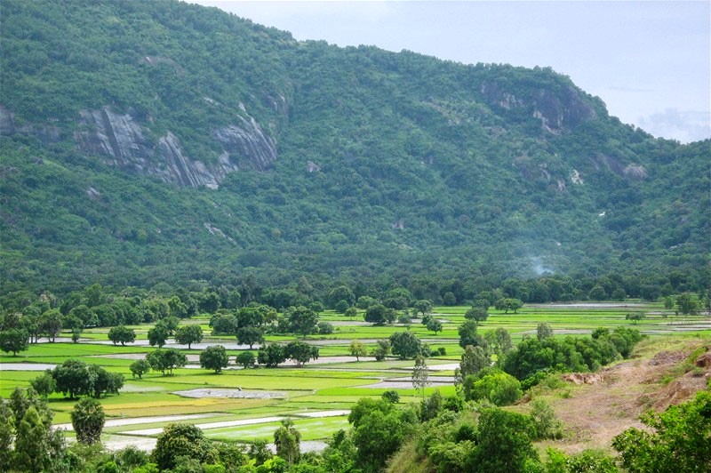 金山山