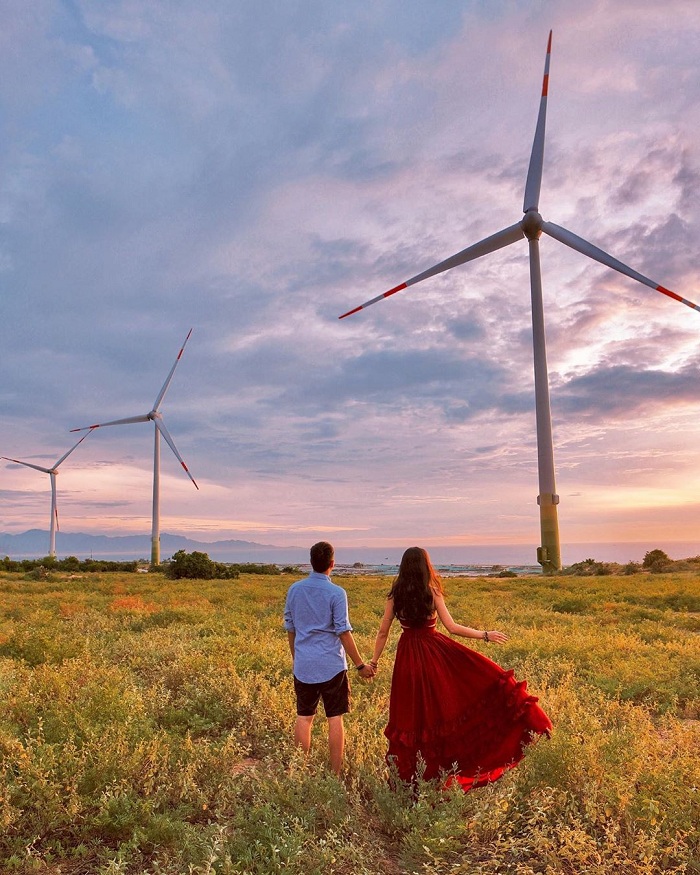 Dam Nai wind power field