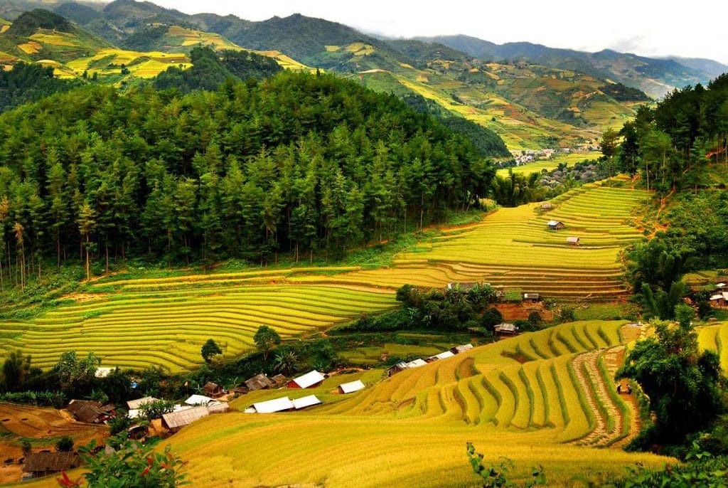 Pu Luong Nature Reserve