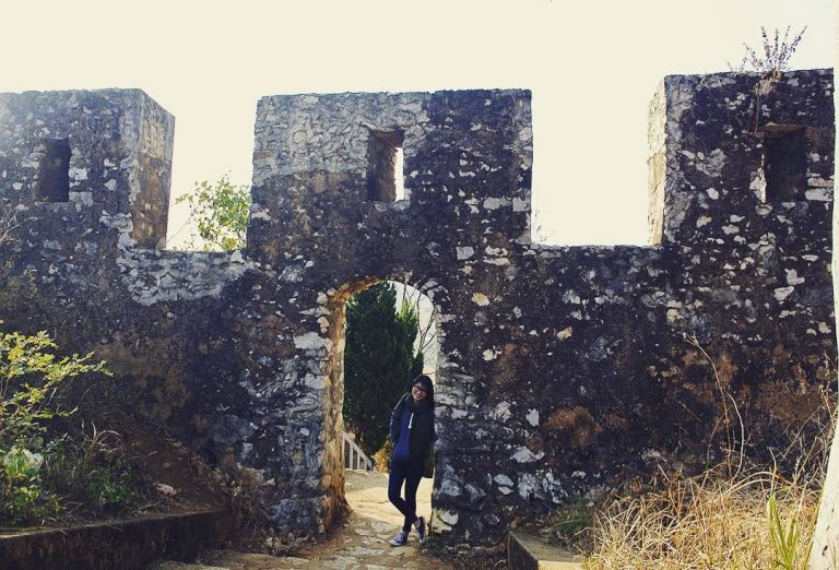 Tourists visit the citadel of the Mac Dynasty