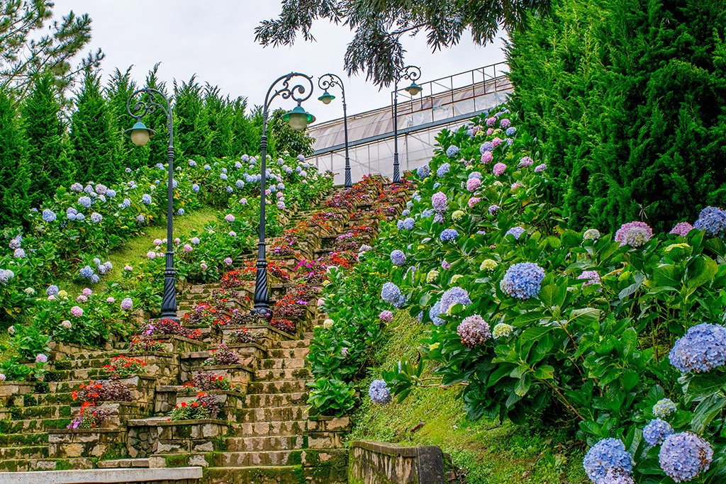 Da Lat Thousand Flowers