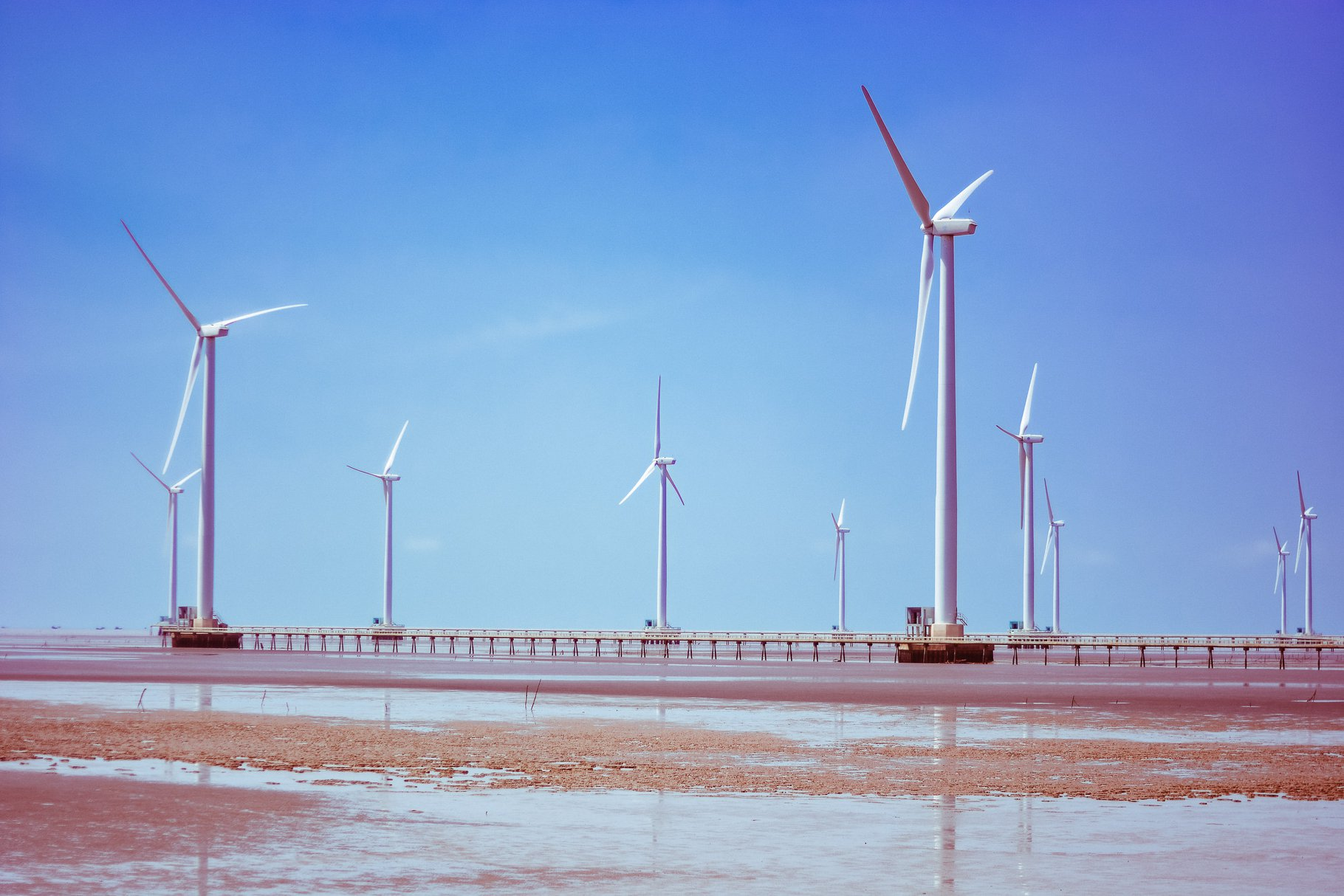 Bac Lieu wind turbine field