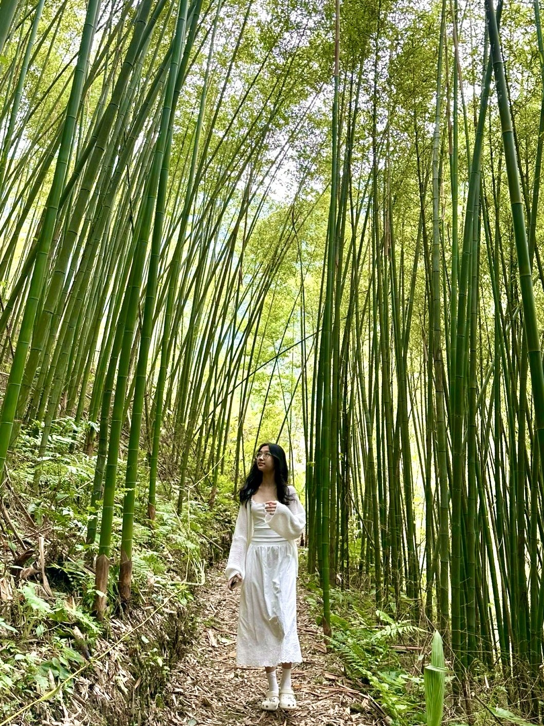 The surreal and cinematic beauty of Pu Lau bamboo forest