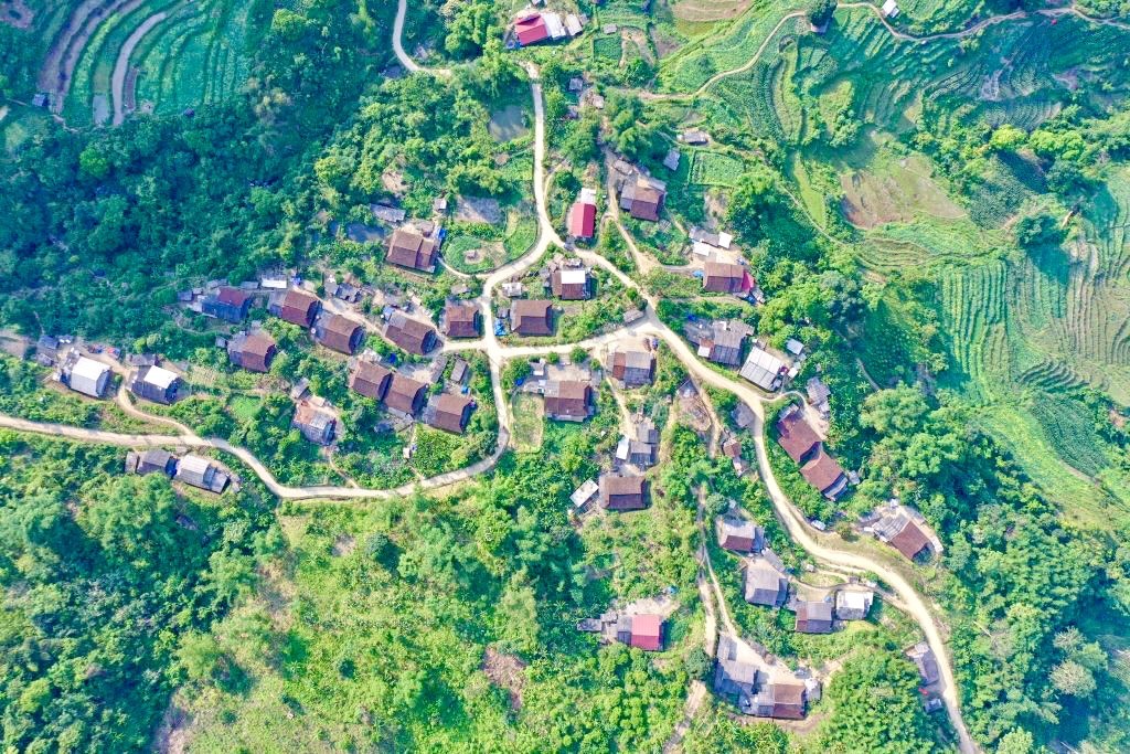 The beauty of Pu Lau bamboo forest from above