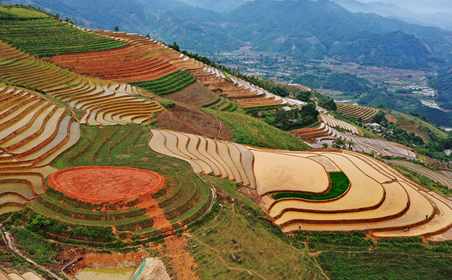 Ruộng bậc thang Phong Dụ Thượng