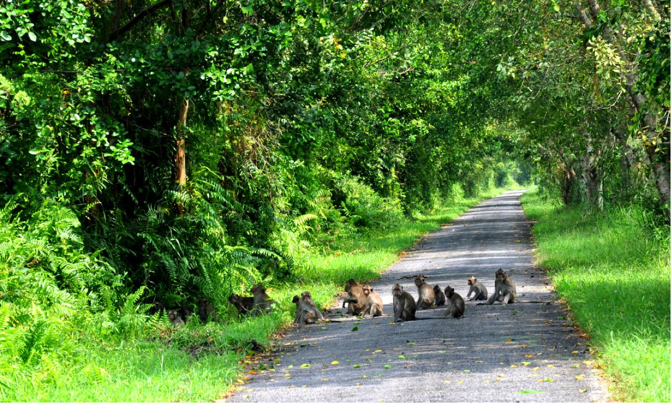 U Minh Thuong forest tourist area