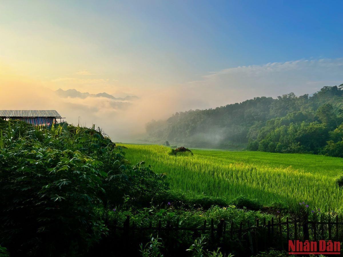 Pu Luong Nature Reserve