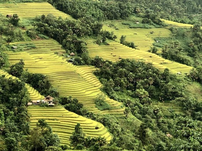 Đến Xà Phìn ngắm lúa vàng, thăm những mái nhà phủ rêu xanh