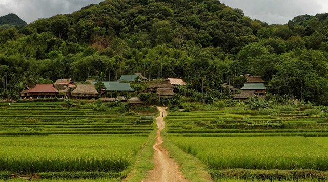 Pu Luong Nature Reserve