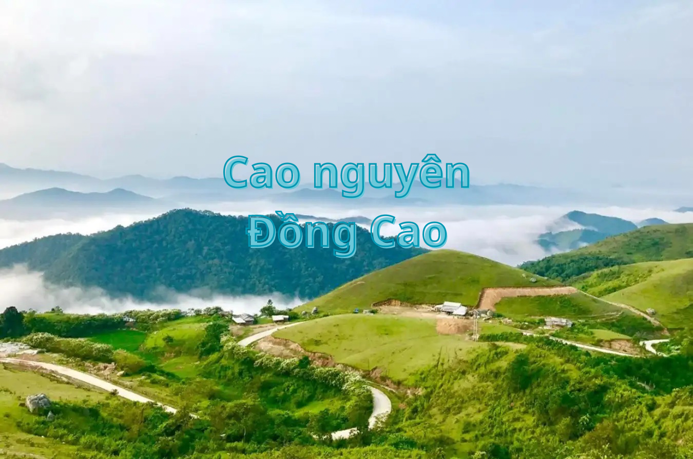 Cao nguyên Đồng Cao - nhà của mây