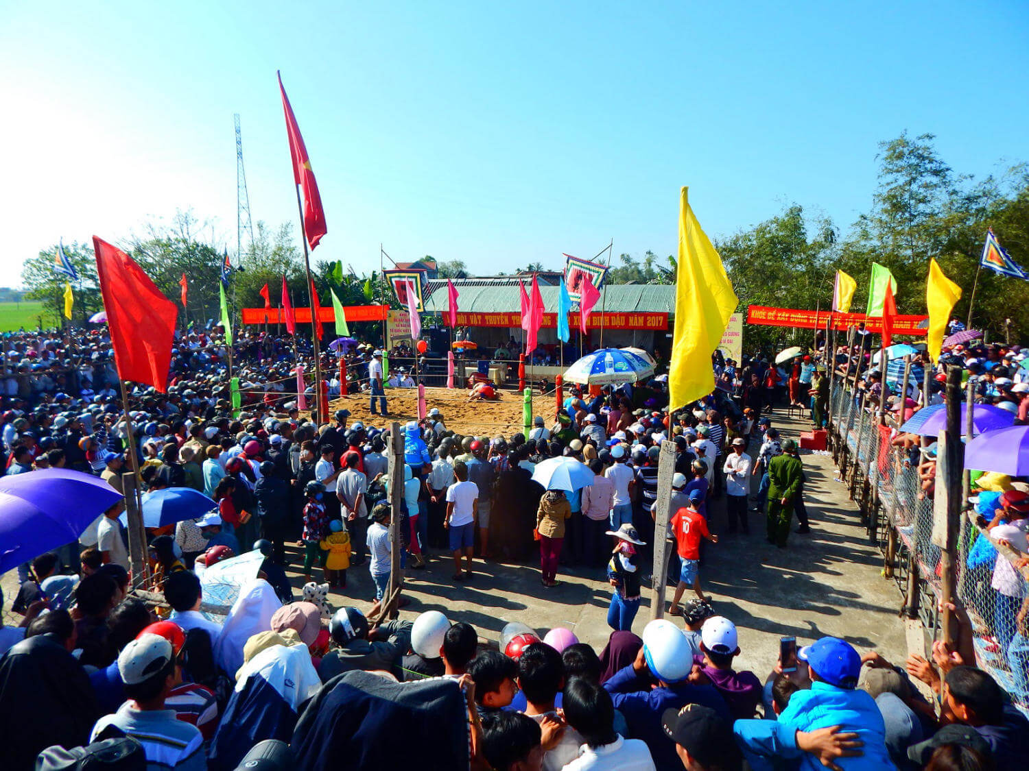 Sinh village wrestling festival