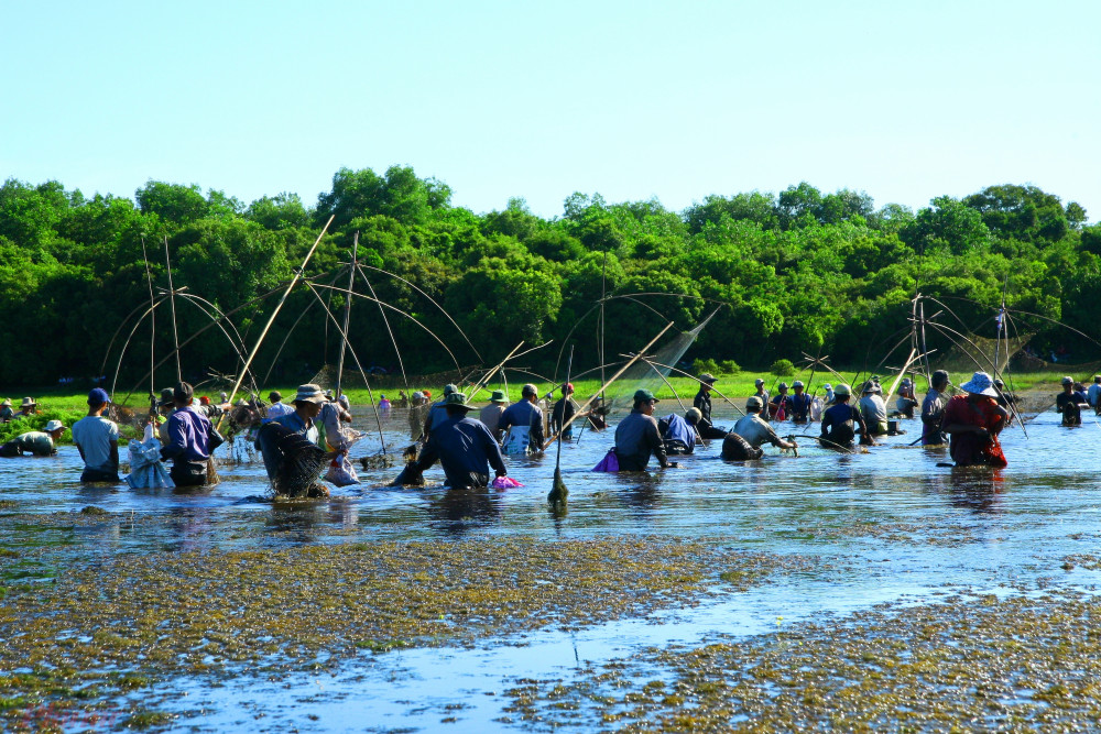 At the end of the summer-autumn season (eighth lunar month), people in Hai Xuan commune, Hai Lang district (Quang Tri), and people in Tra Loc village organize the "Phat Tram" folk festival.