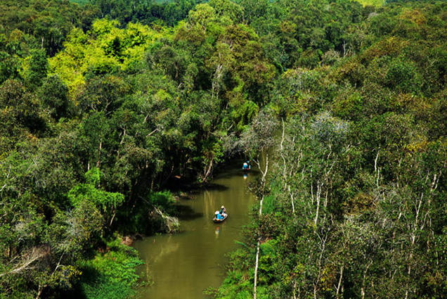 U Minh Thuong forest - the forest is classified as the rarest in the world