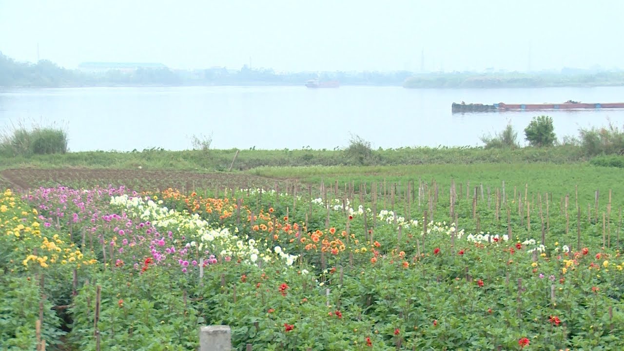 巴赫顺花园村