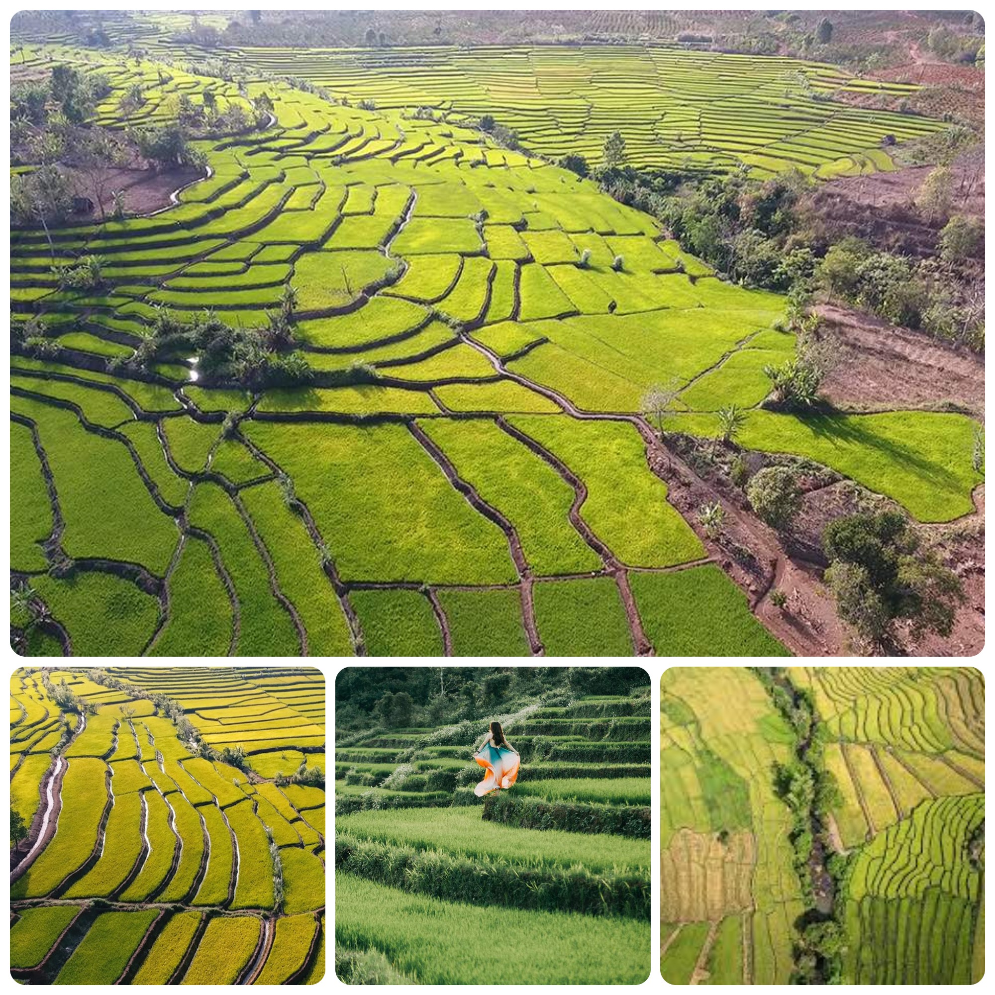 RUỘNG BẬC THANG ĐAK TƠ PÊ - GIA LAI