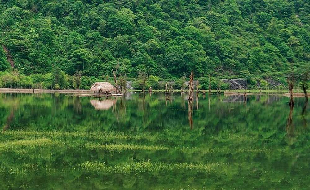 植被丰富、鱼类种类多样是Noong Lake的特色