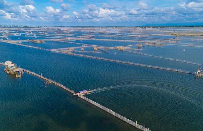 Lạc Vào Đầm Cầu Hai – Một Kỳ Quan Thiên Nhiên Tại Huế