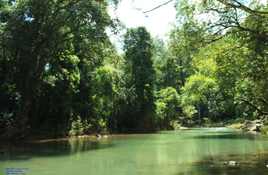 Bu Gia Map National Park