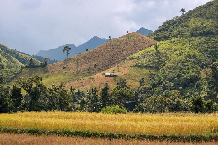 Discovering Muong Nhe, Dien Bien: Exploring Vietnam’s Westernmost Region