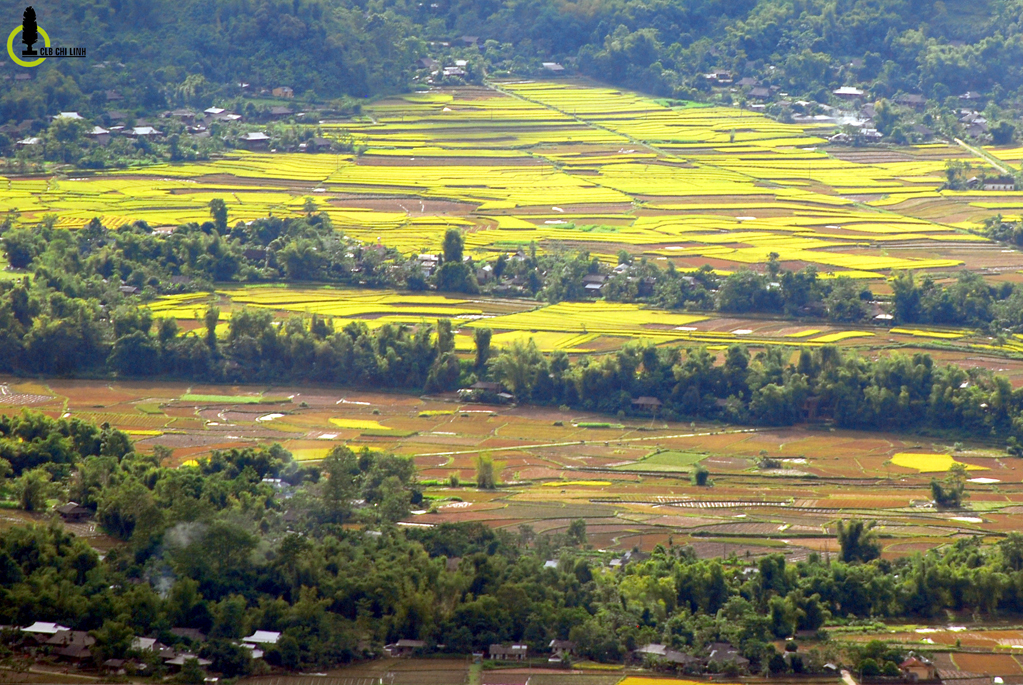 Muong Lo fields