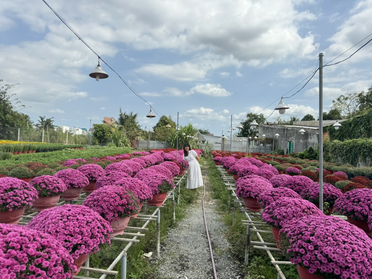 Ba Bo flower village not only provides a large amount of flowers to the Western market, but is also an attractive tourist destination with beautiful natural scenery, where thousands of flower species bloom all year round.