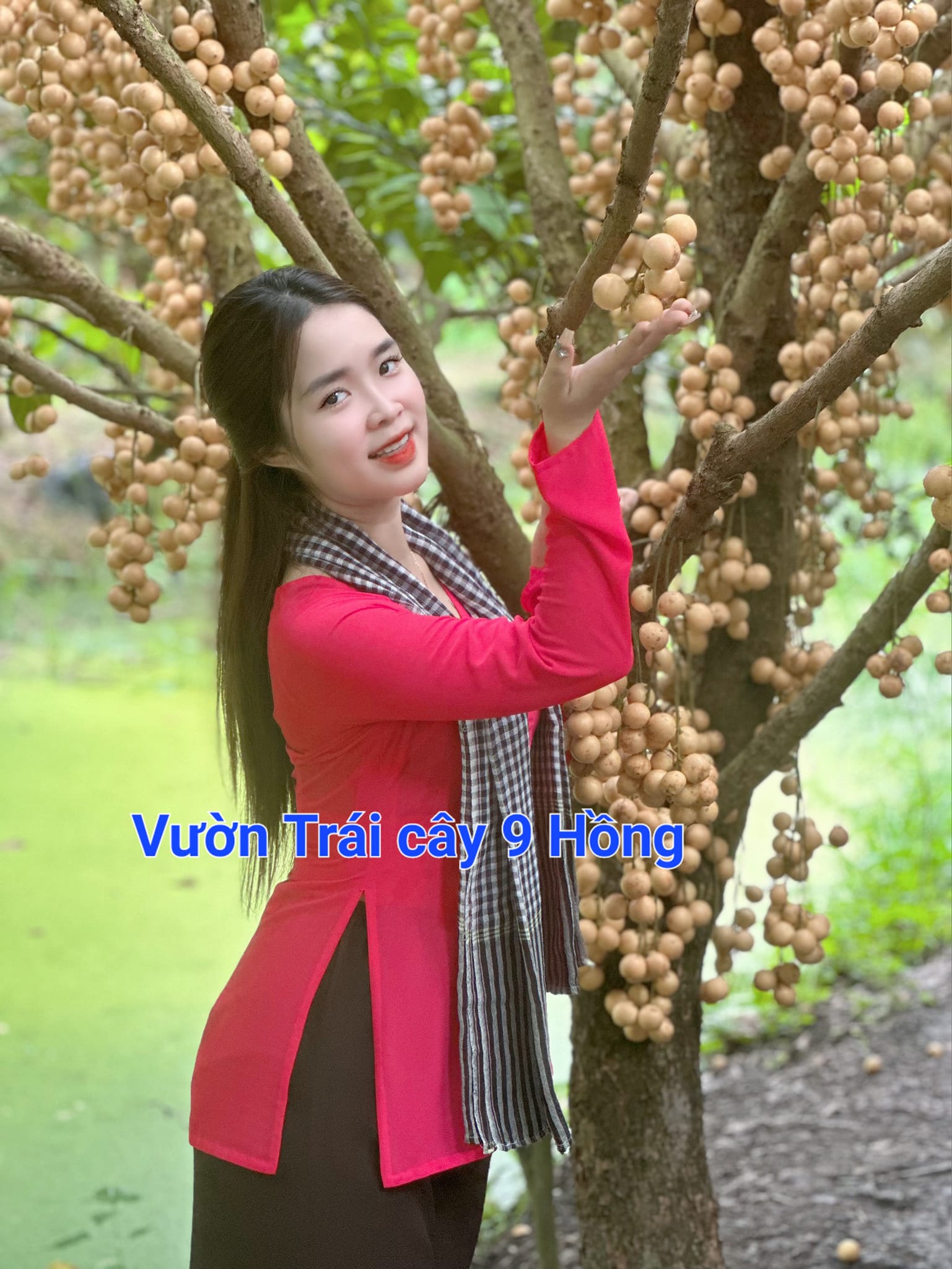 9 Hong fruit garden