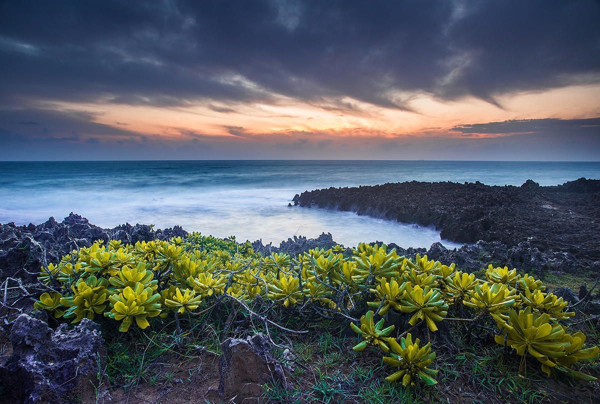 Lost in the surreal with the scenery of Vinh Hy Bay