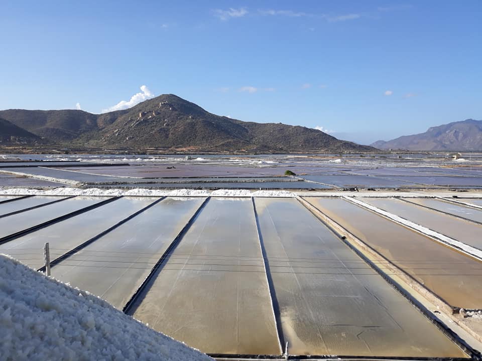 Dam Vua salt fields