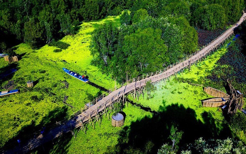 Tra Su Melaleuca Forest