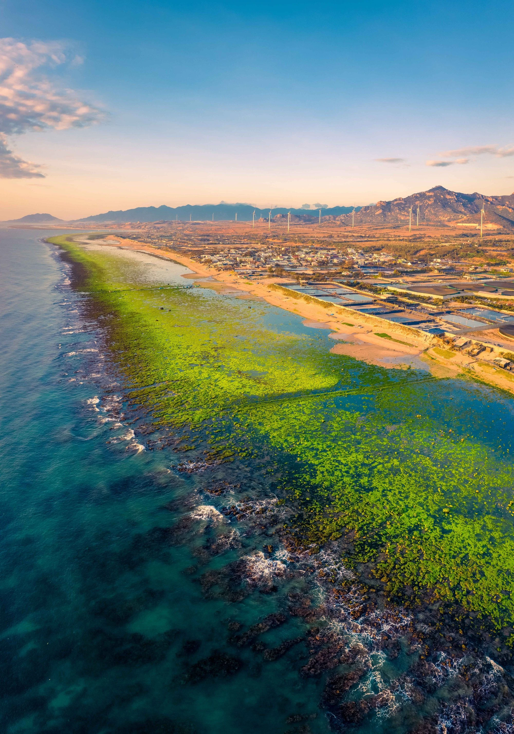 Green moss beach in Tu Thien village