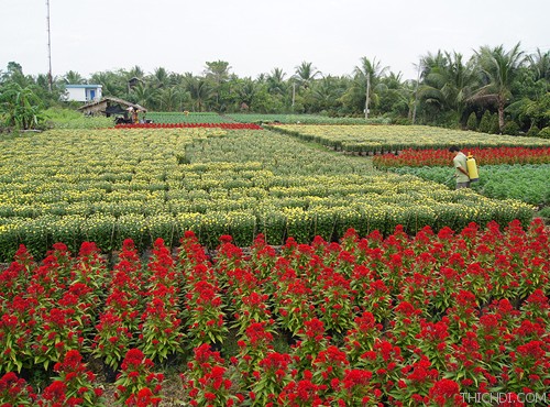 Me Linh Flower Village