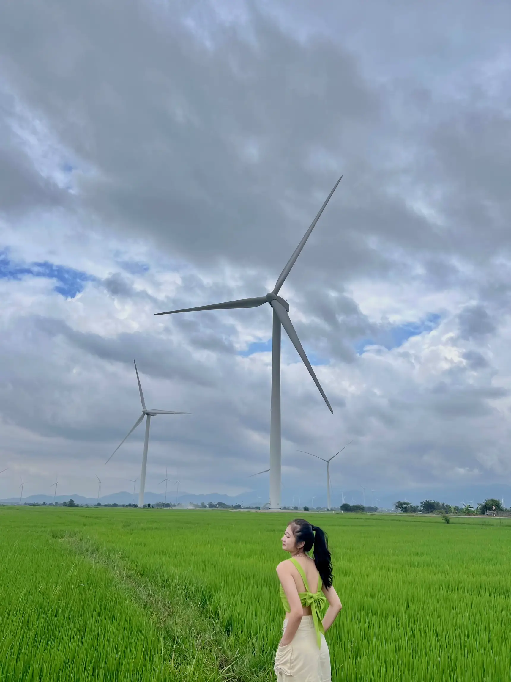 Dam Nai wind power field