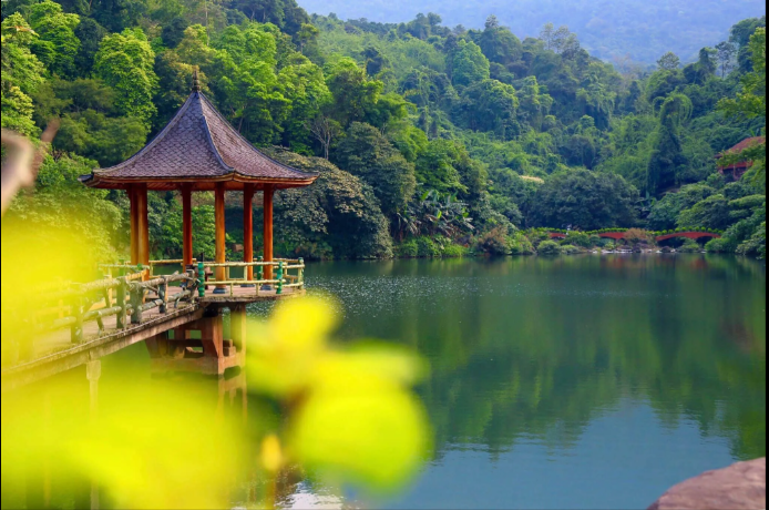 天山水雅。