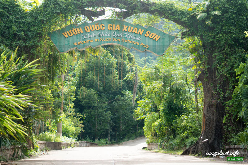 Xuan Son National Park