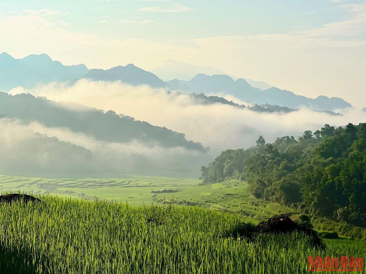 Pu Luong Nature Reserve